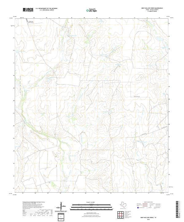 US Topo 7.5-minute map for Beef Hollow Creek TX