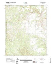 US Topo 7.5-minute map for Big Four Ranch TX