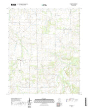 US Topo 7.5-minute map for Bluegrove TX