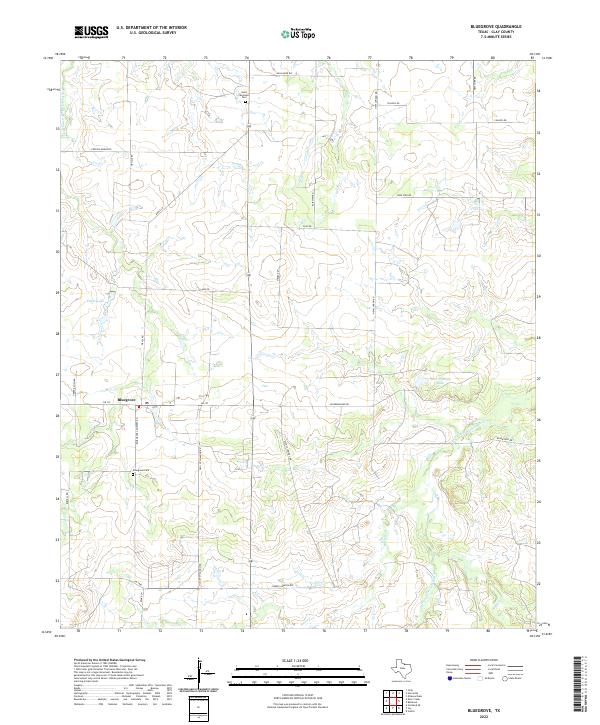 US Topo 7.5-minute map for Bluegrove TX