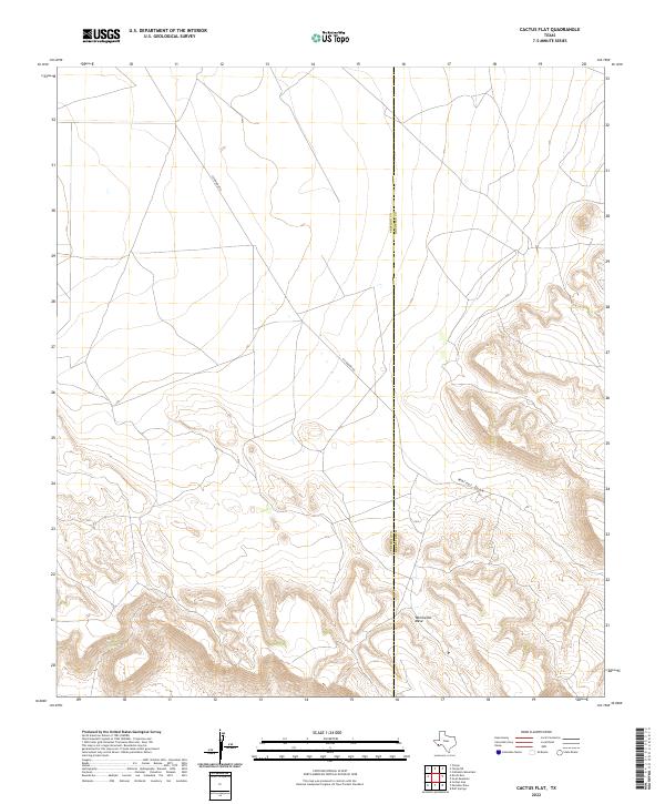 US Topo 7.5-minute map for Cactus Flat TX