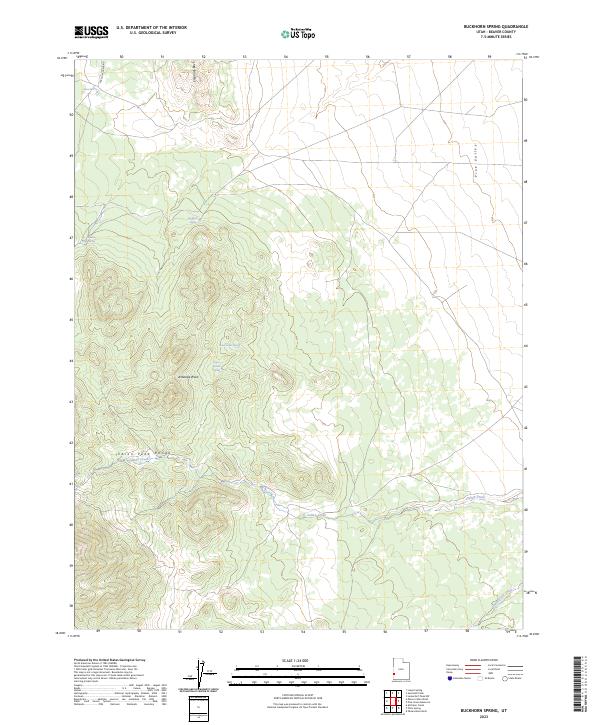 US Topo 7.5-minute map for Buckhorn Spring UT