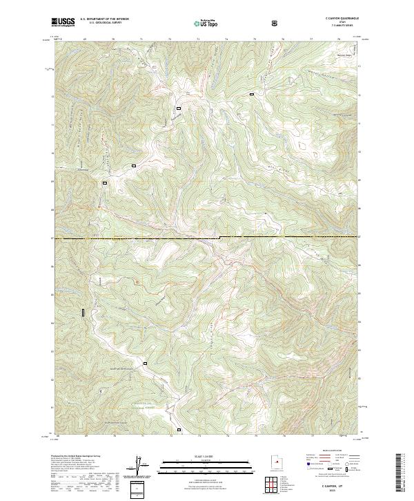 US Topo 7.5-minute map for C Canyon UT