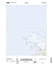 US Topo 7.5-minute map for Chesconessex VA